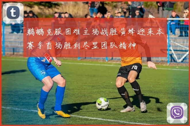 鹈鹕克服困难主场战胜黄蜂迎来本赛季首场胜利尽显团队精神